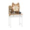 Kitty-Themed Vanity Desk with Mirror, Lights, and Built-In Power Outlets
